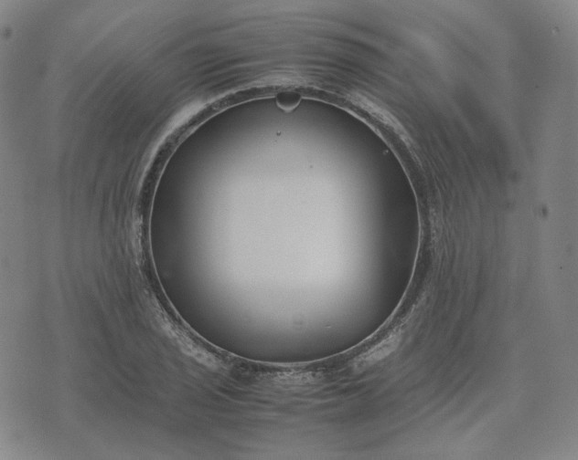 X0000074311029200609011507