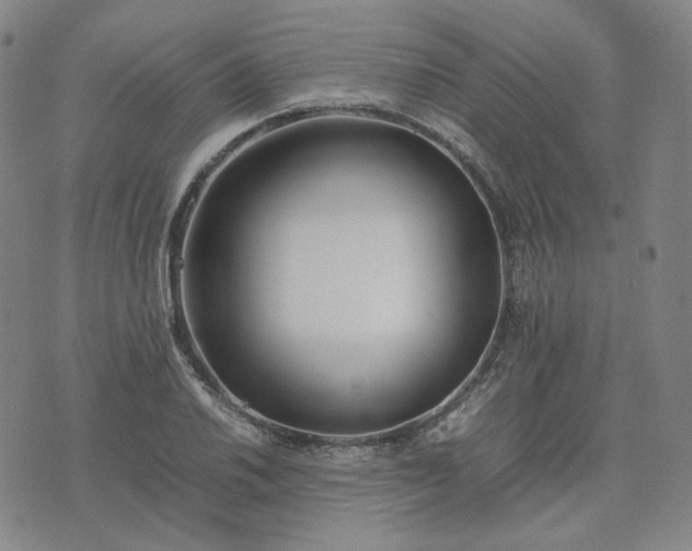 X0000074311030200609011507