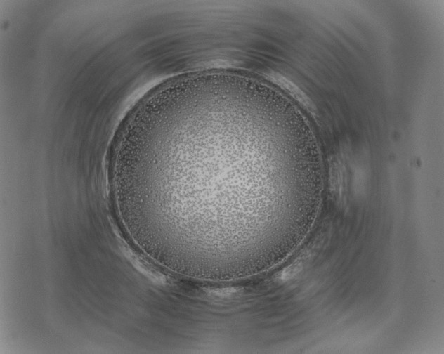 X0000074311031200609011507