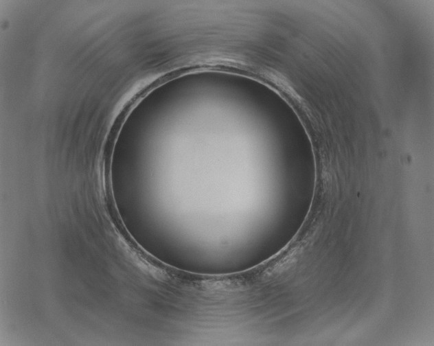 X0000074311032200609011507