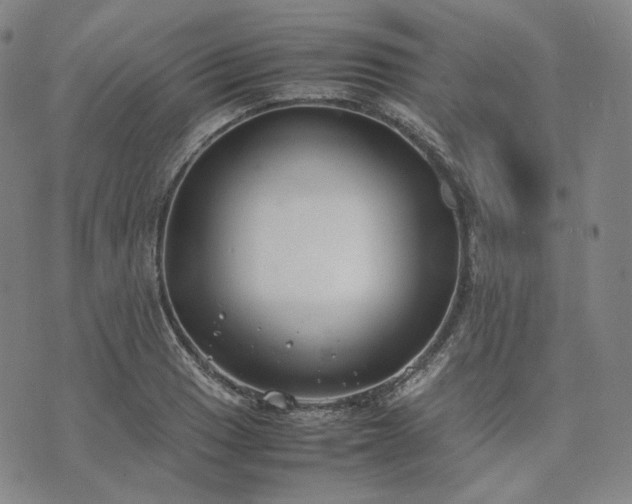 X0000074311033200609011507