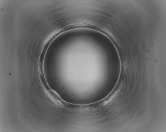 X0000074311034200609011507