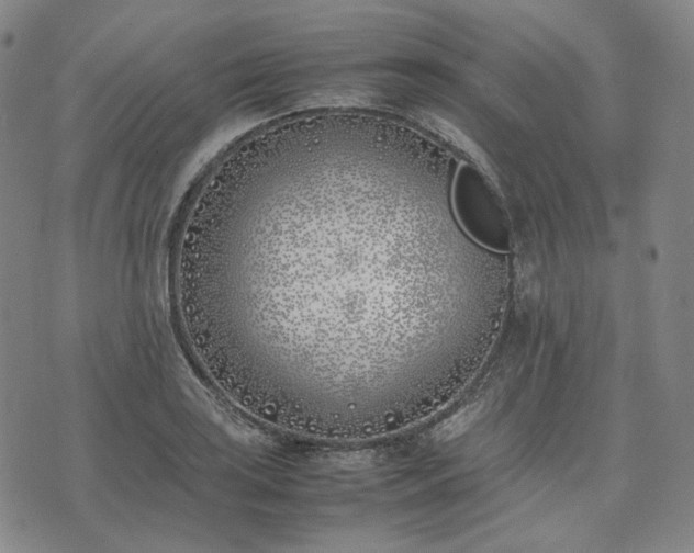 X0000074311035200609011507