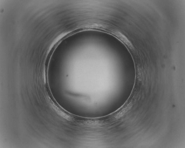 X0000074311036200609011507