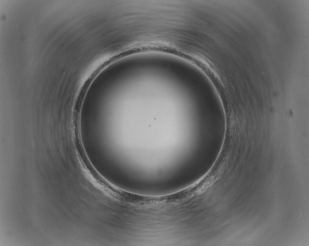 X0000074311038200609011507