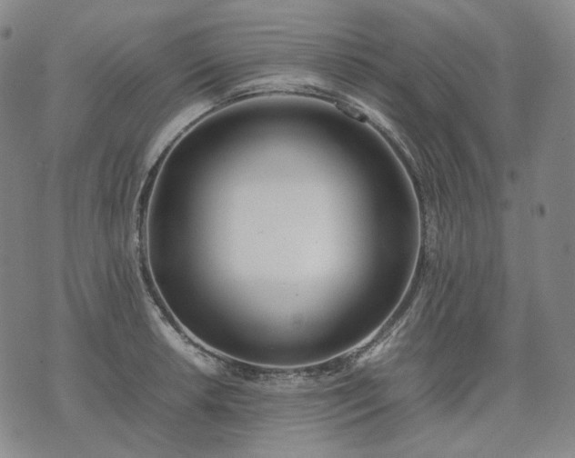 X0000074311042200609011507