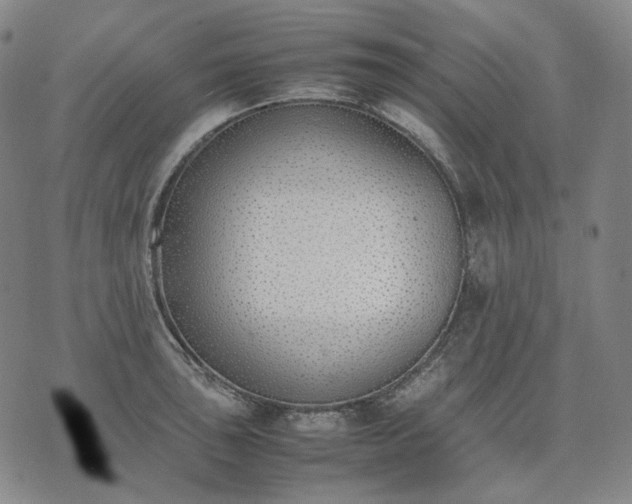 X0000074311043200609011507