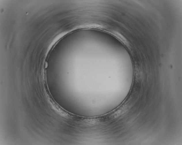 X0000074311044200609011507