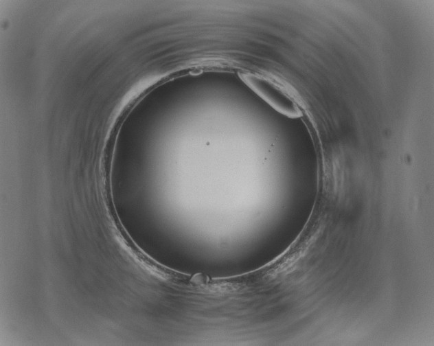 X0000074311045200609011507