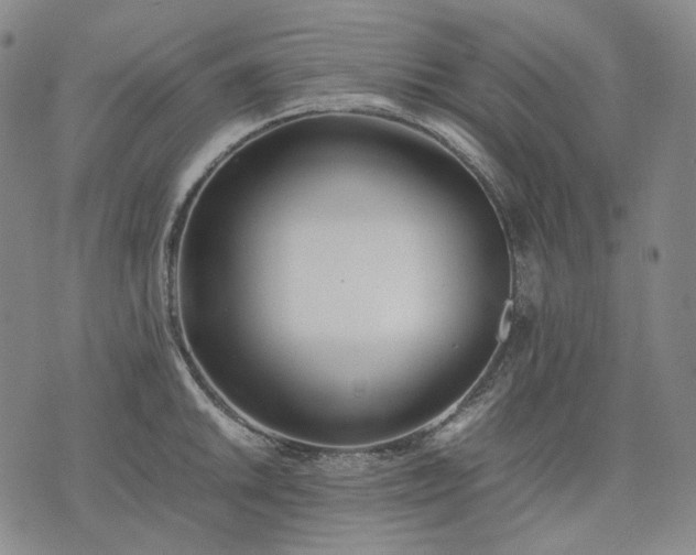 X0000074311046200609011507