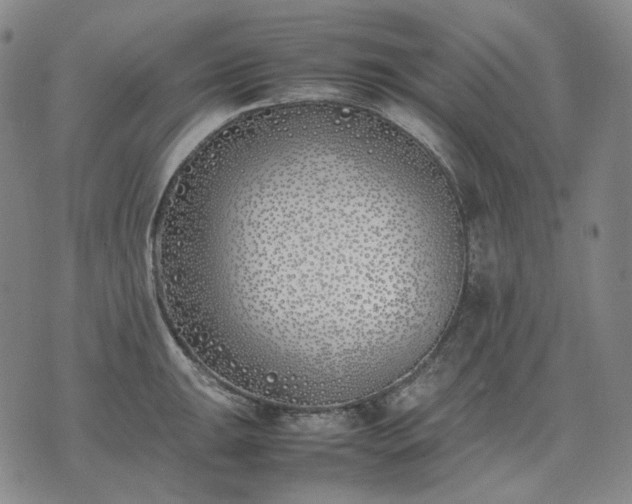 X0000074311047200609011507