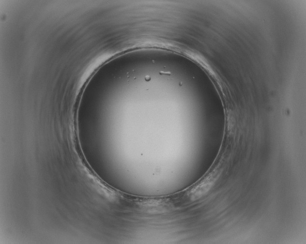 X0000074311048200609011507