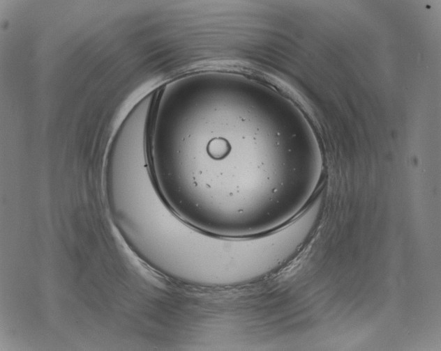 X0000074311050200609011507