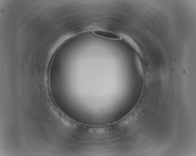 X0000074311051200609011507