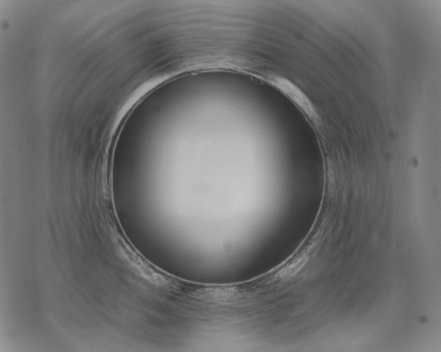 X0000074311052200609011507