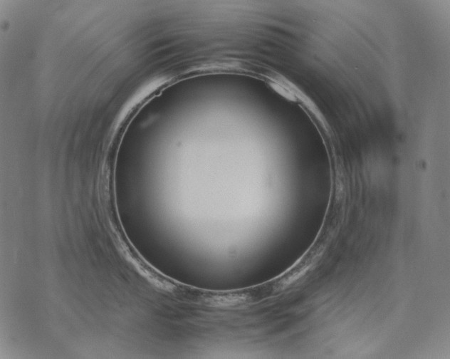 X0000074311053200609011507