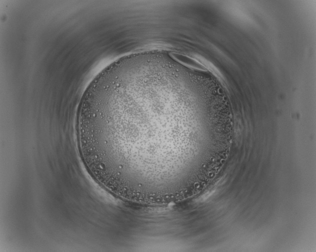 X0000074311055200609011507