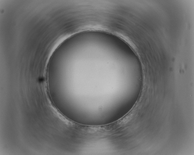 X0000074311056200609011507