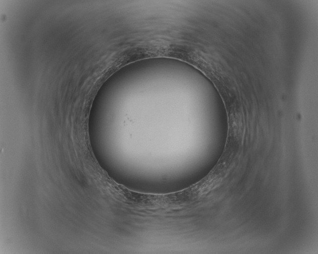 X0000074311057200609011507