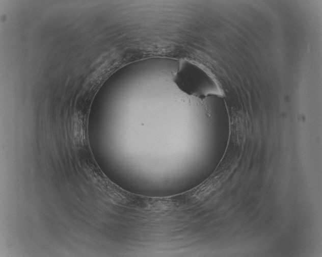 X0000074311058200609011507