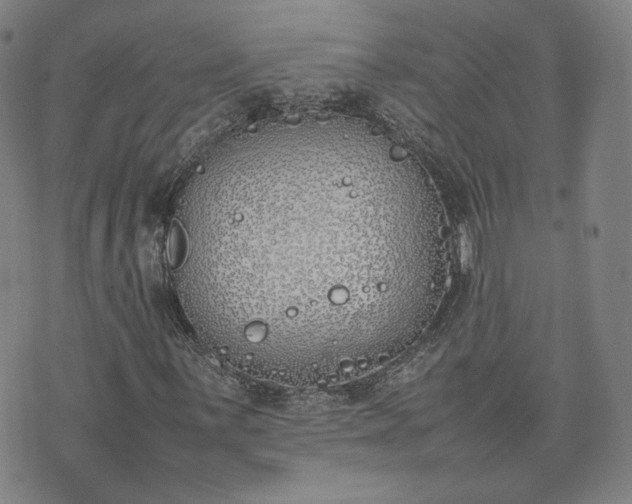 X0000074311059200609011507