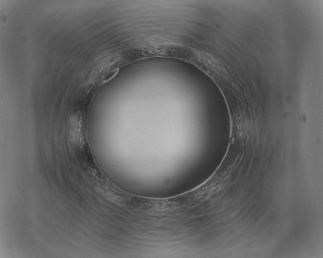 X0000074311060200609011507