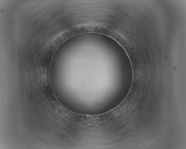 X0000074311062200609011507