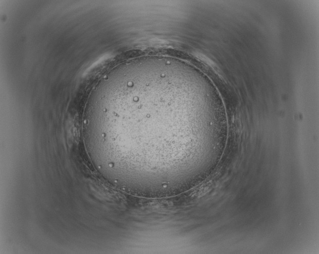 X0000074311063200609011507