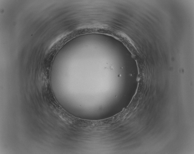 X0000074311064200609011506