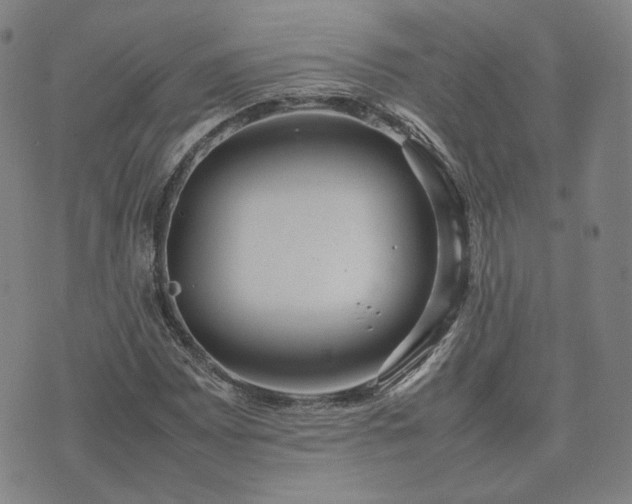 X0000074311065200609011506