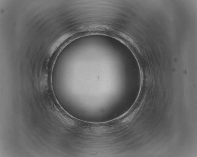 X0000074311066200609011506