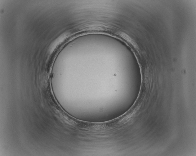 X0000074311067200609011506