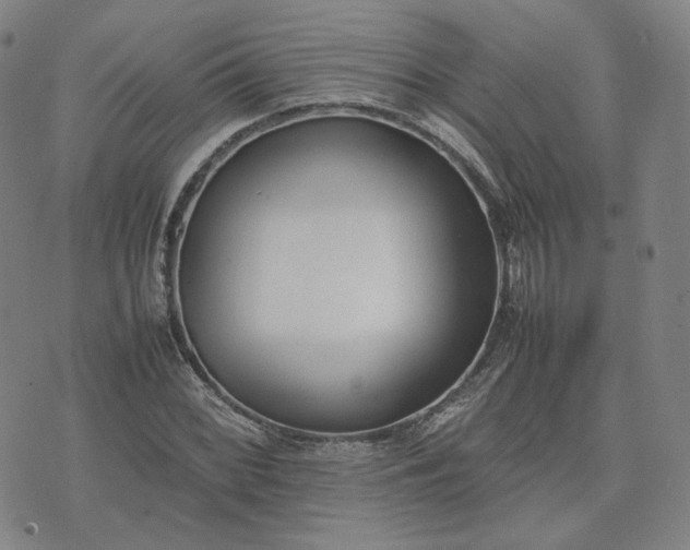 X0000074311068200609011506