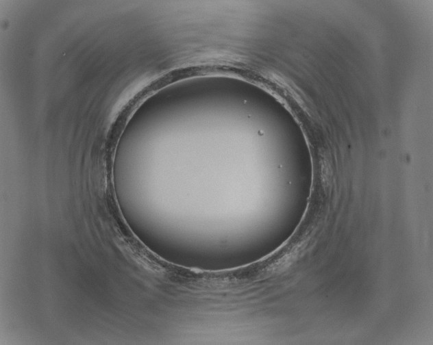 X0000074311069200609011506