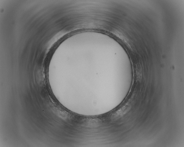 X0000074311070200609011506