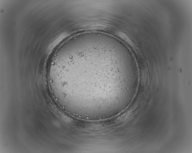 X0000074311071200609011506