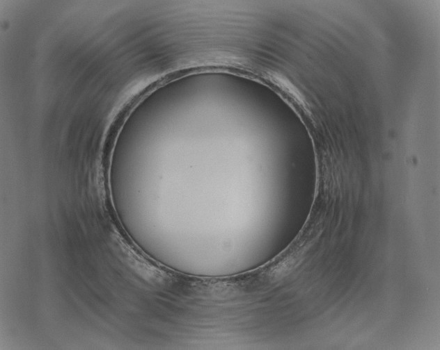 X0000074311072200609011506