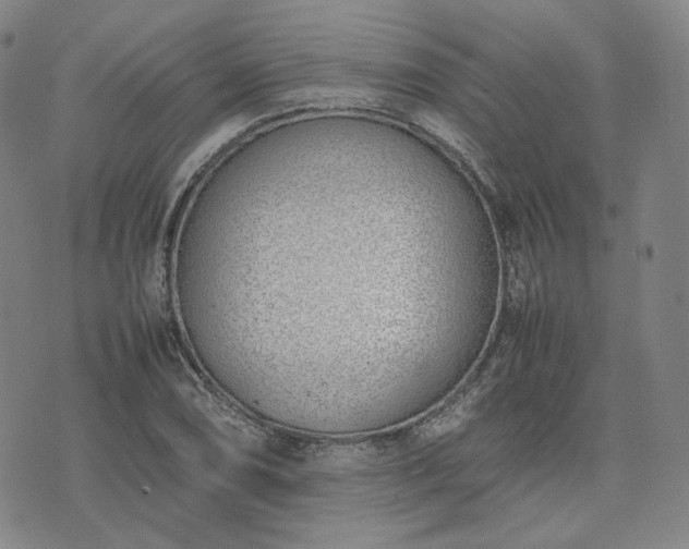 X0000074311074200609011506