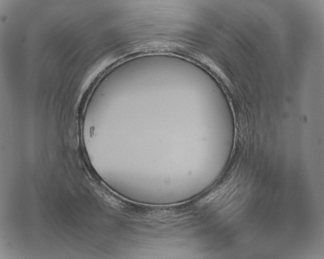 X0000074311075200609011506