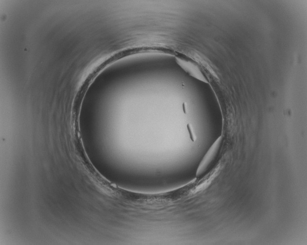 X0000074311077200609011506