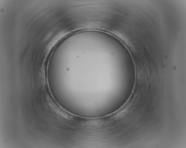 X0000074311078200609011506