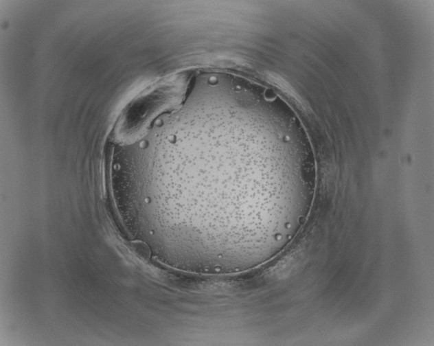 X0000074311079200609011506