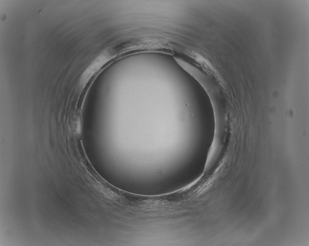 X0000074311081200609011506