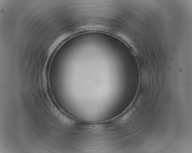 X0000074311082200609011506