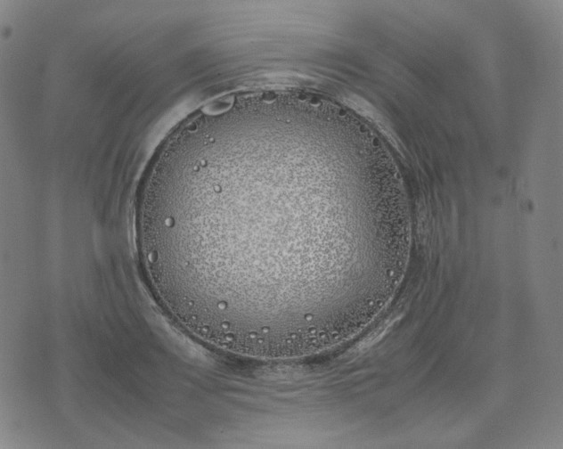 X0000074311083200609011506