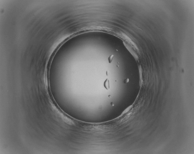 X0000074311084200609011506