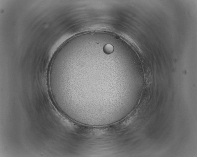 X0000074311086200609011506