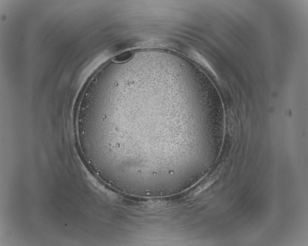 X0000074311087200609011506