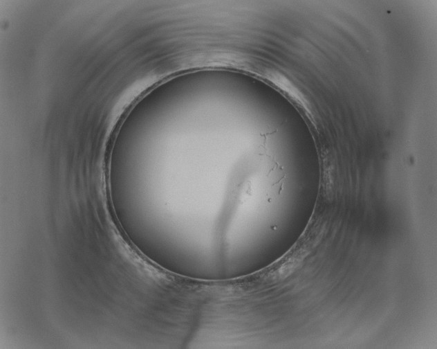 X0000074311088200609011506