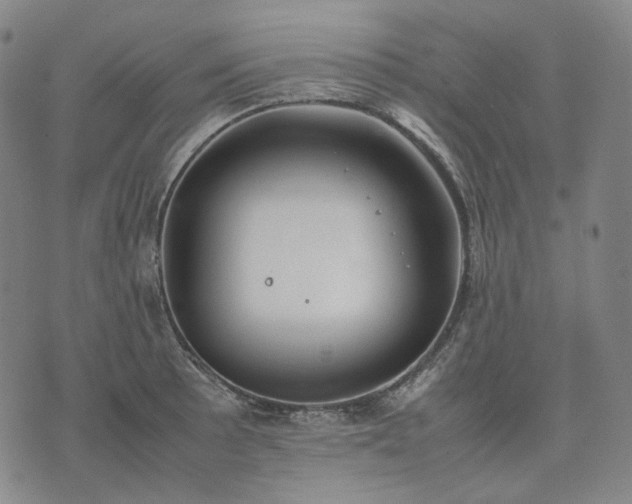 X0000074311089200609011506